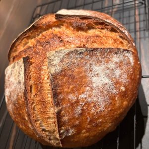 Spelt Tarwe - Klein